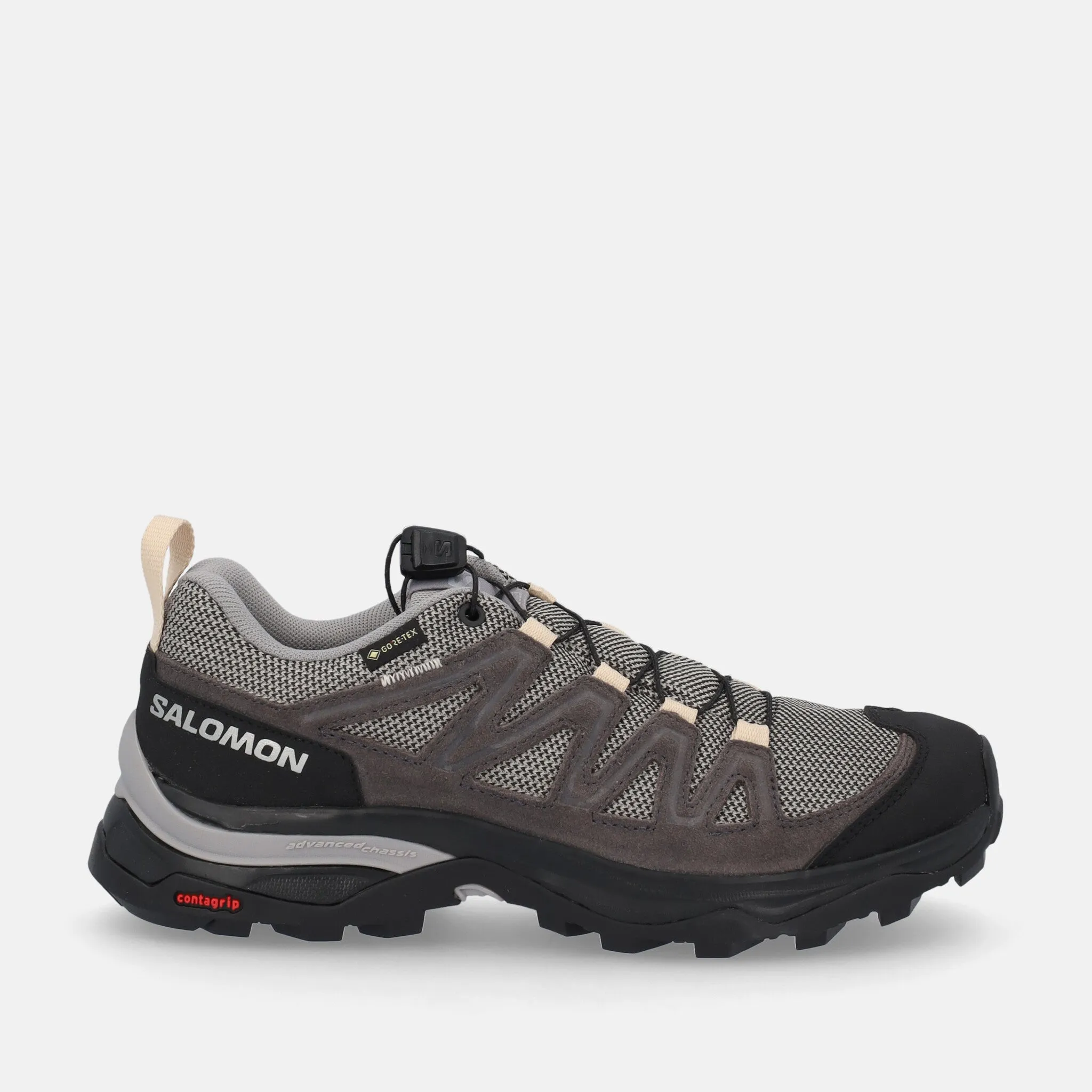 SALOMON X WARD GTX