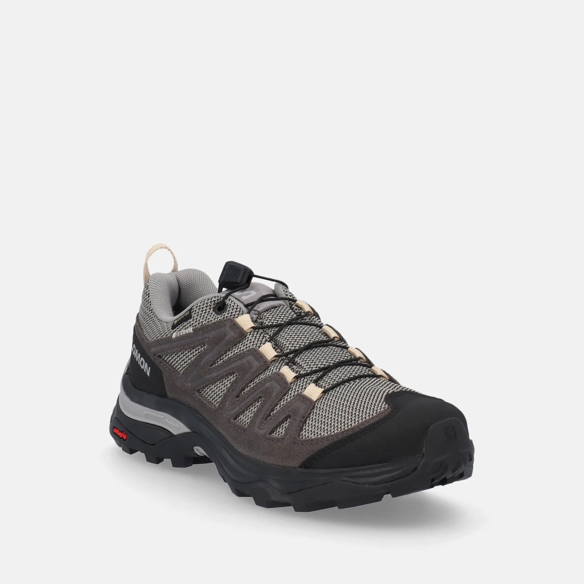 SALOMON X WARD GTX