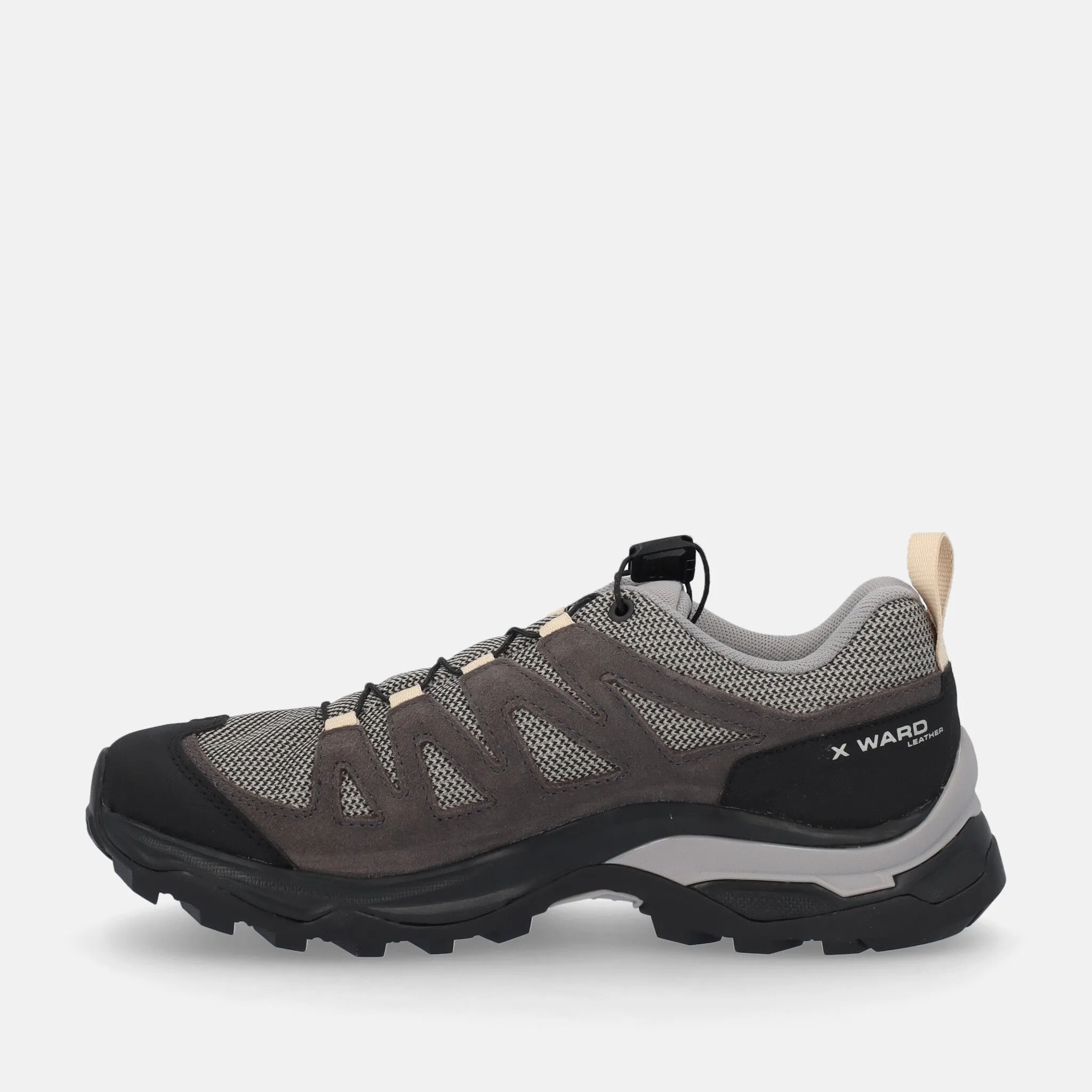SALOMON X WARD GTX